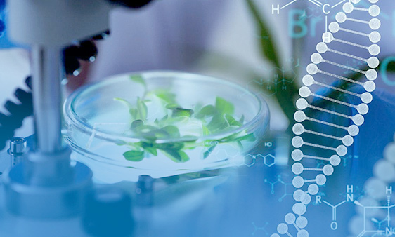 Whole genome of animals and plants