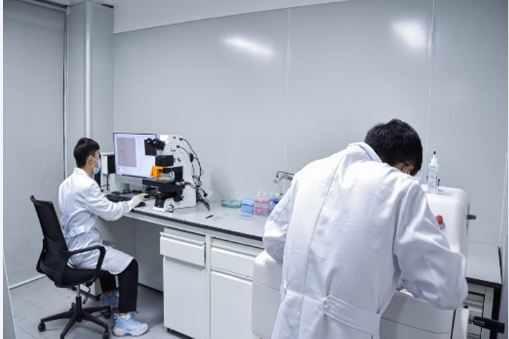 Spatiotemporal Omics Platform (STOmics)